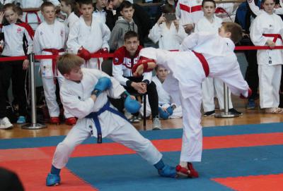 На первенстве ЦФО по каратэ WKF в Рязани доминировали гости